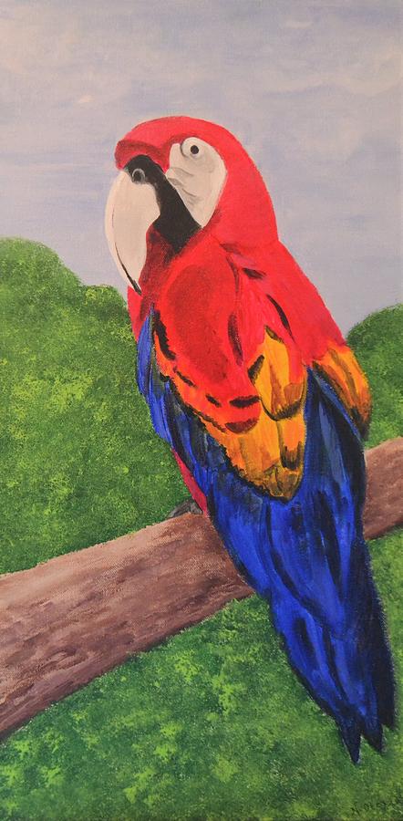Brazilian Parrot Painting by Nancy Sisco