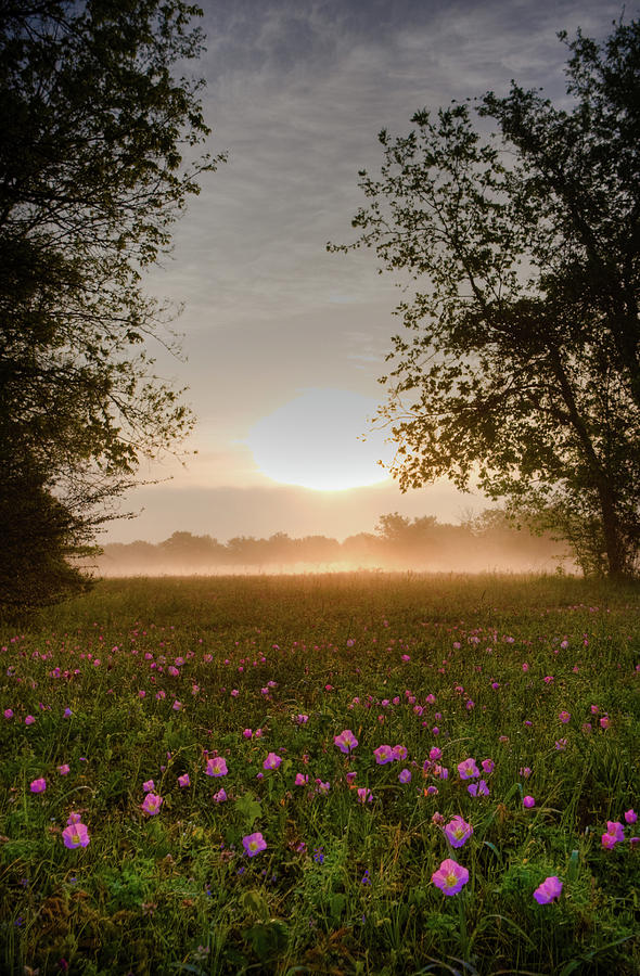Brazos Valley Sunrise Photograph by Gerard Harrison