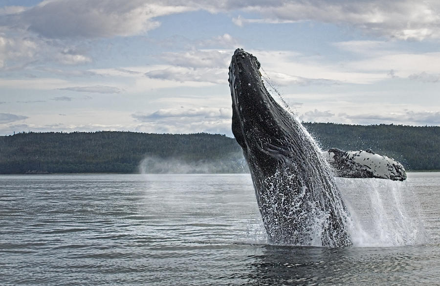 Breach Photograph by Richard Rivard - Fine Art America