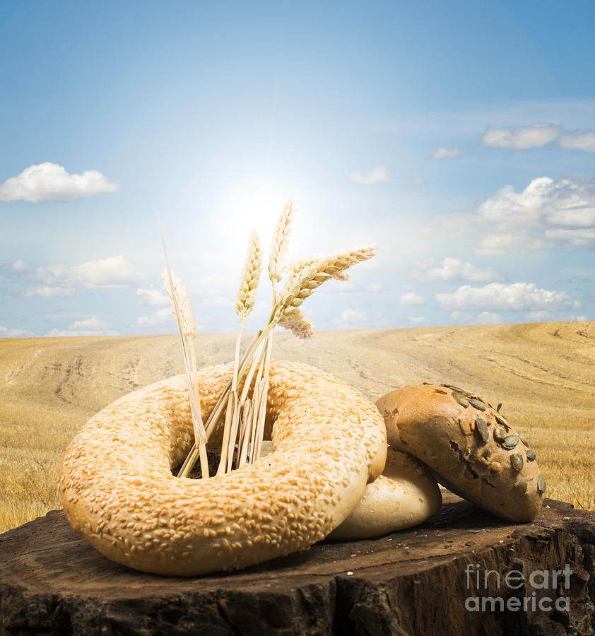 Bread Photograph - Bread and wheat ears. by Deyan Georgiev