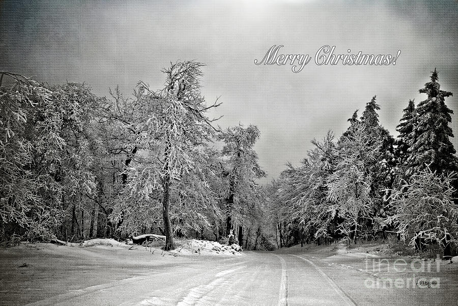 Christmas Photograph - Break In The Storm Christmas Card by Lois Bryan
