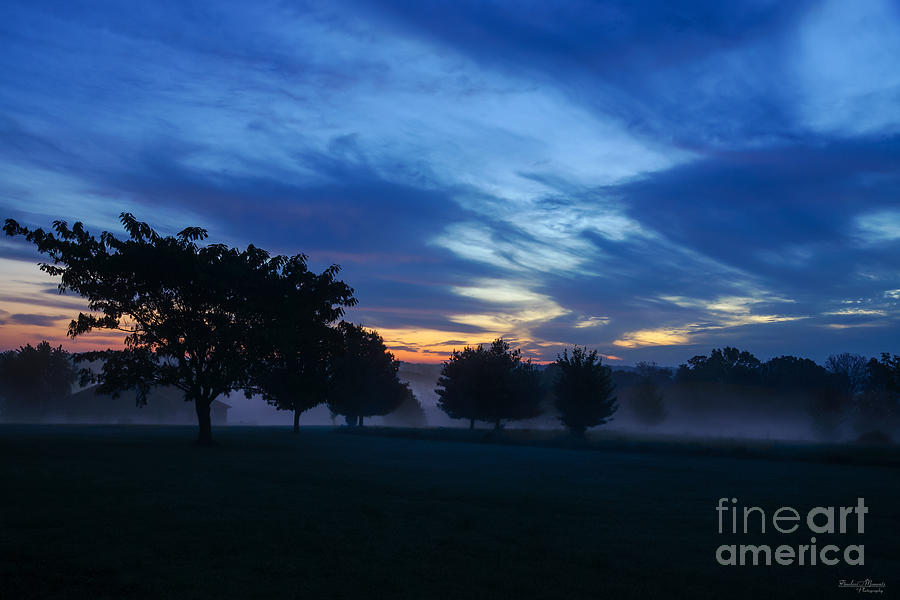 Break Of Dawn And Fog Photograph by Jennifer White