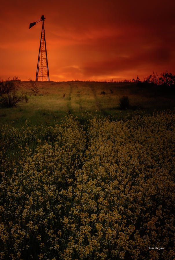 Landscape Photograph - Break of Dawn by Tim Bryan