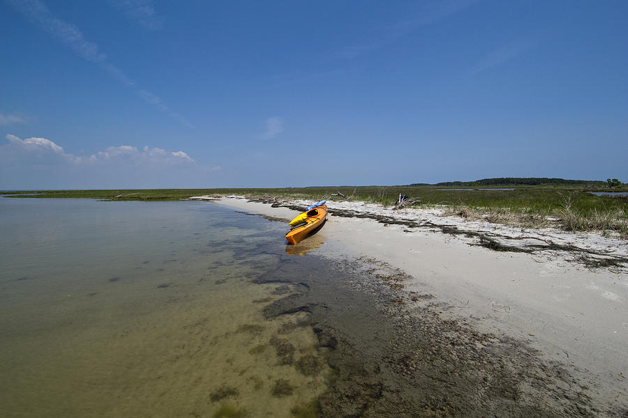 Nature Photograph - Break Time - Assateague Island Kayaking - Maryland by Brendan Reals