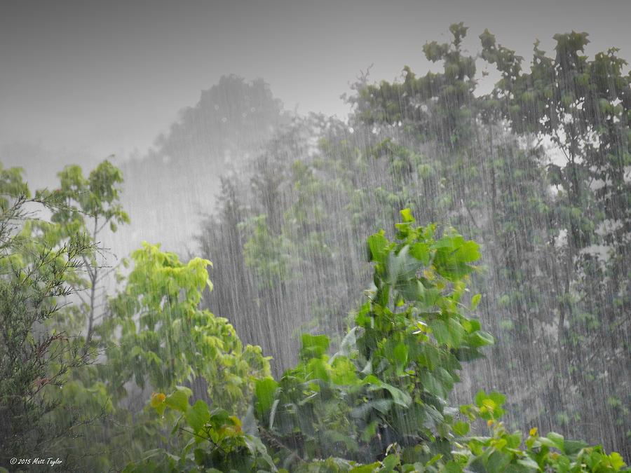 Breaking The Dry Spell Photograph by Matt Taylor - Fine Art America