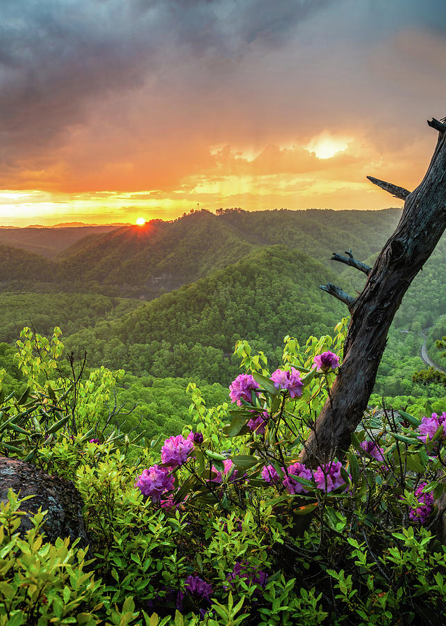 Breaks Interstate Park Ky Va Sunset Scenic Rhododendron Photograph By 