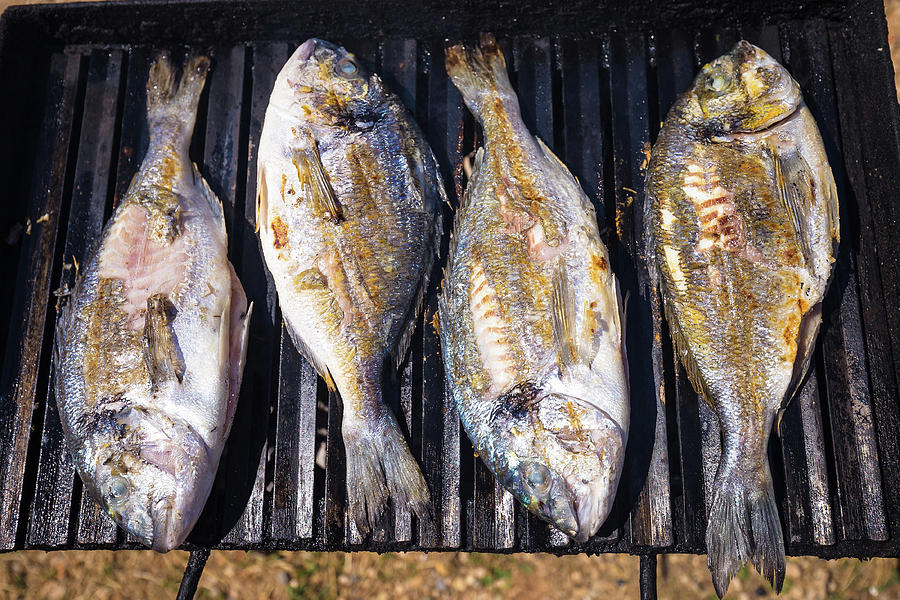 Bream sea fish on grill Photograph by Brch Photography