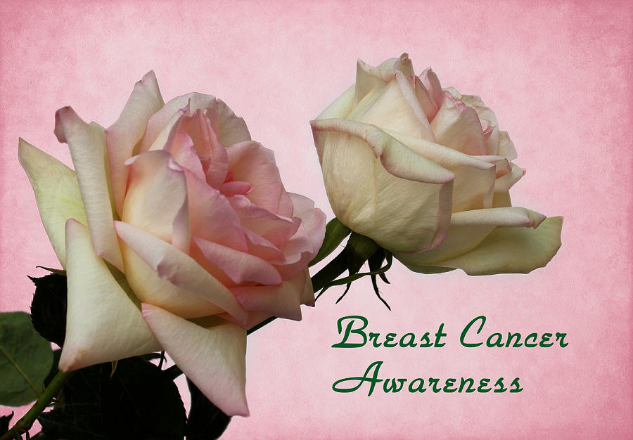 Flower Photograph - Breast Cancer Awareness by Judy Vincent