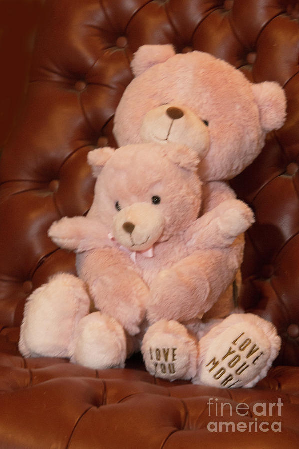 Breast Cancer Hugging Bears Photograph by Linda Phelps