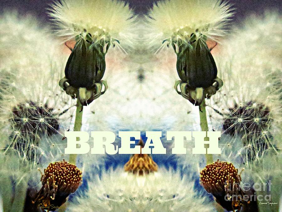 Breathwise Mixed Media by Leanne Seymour