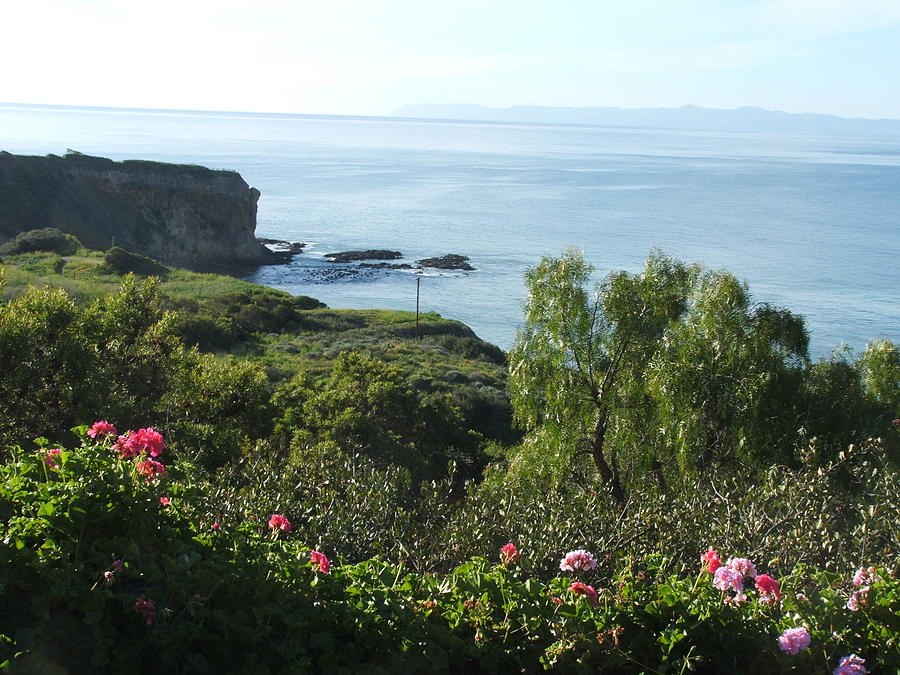 breath of fresh air by Shari Chavira breath of fresh air by Shari Chavira