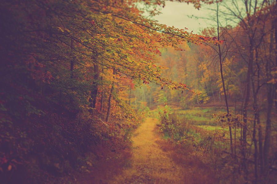 Fall Photograph - Breathe In Autumn by Shane Holsclaw
