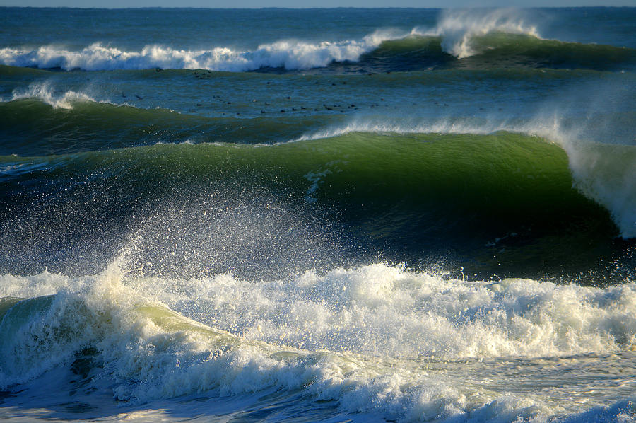 Breathless Photograph by Dianne Cowen Cape Cod and Ocean Photography ...