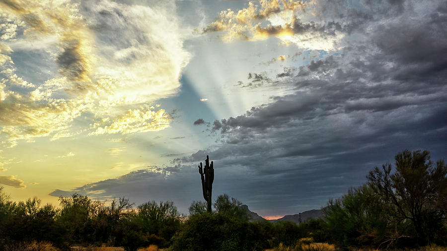 Breathtaking Desert Skies  Photograph by Saija Lehtonen