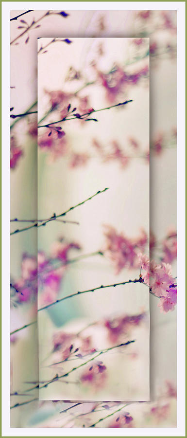 Breezy Blossom Panel Photograph by Jessica Jenney