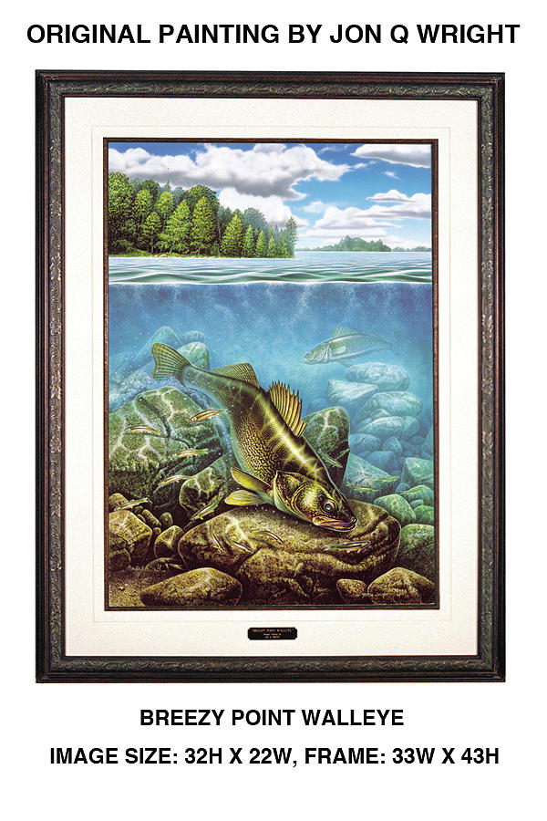 Fish Painting - Breezy Point Walleye original by JQ Licensing