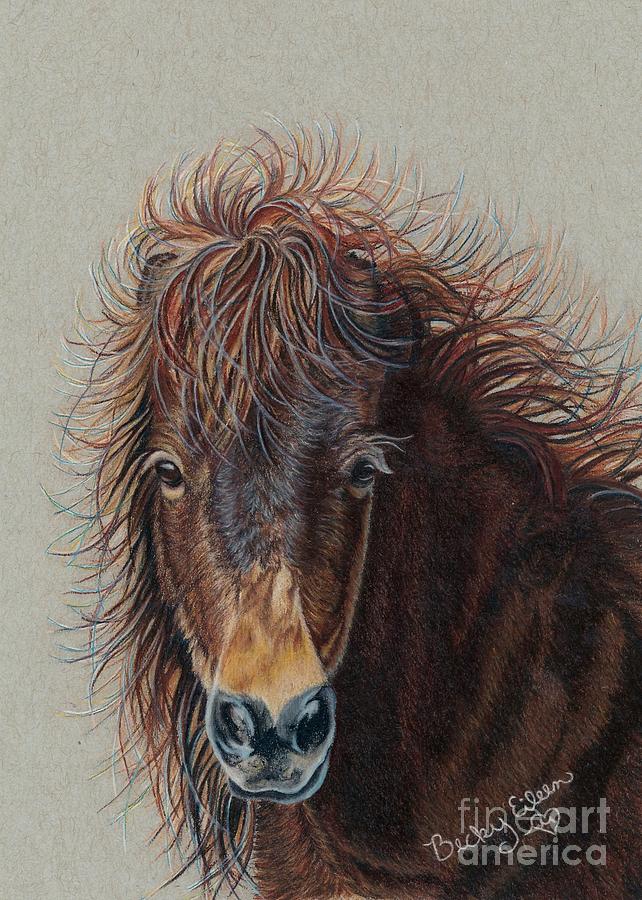 Breezy's Bad Hair Day by Becky Eileen Eller Breezy's Bad Hair Day by Becky Eileen Eller