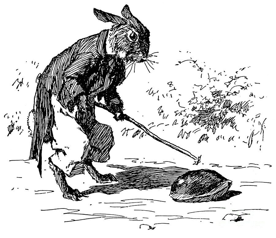 Brer Rabbit, 1895 Drawing by Arthur Burdett Frost