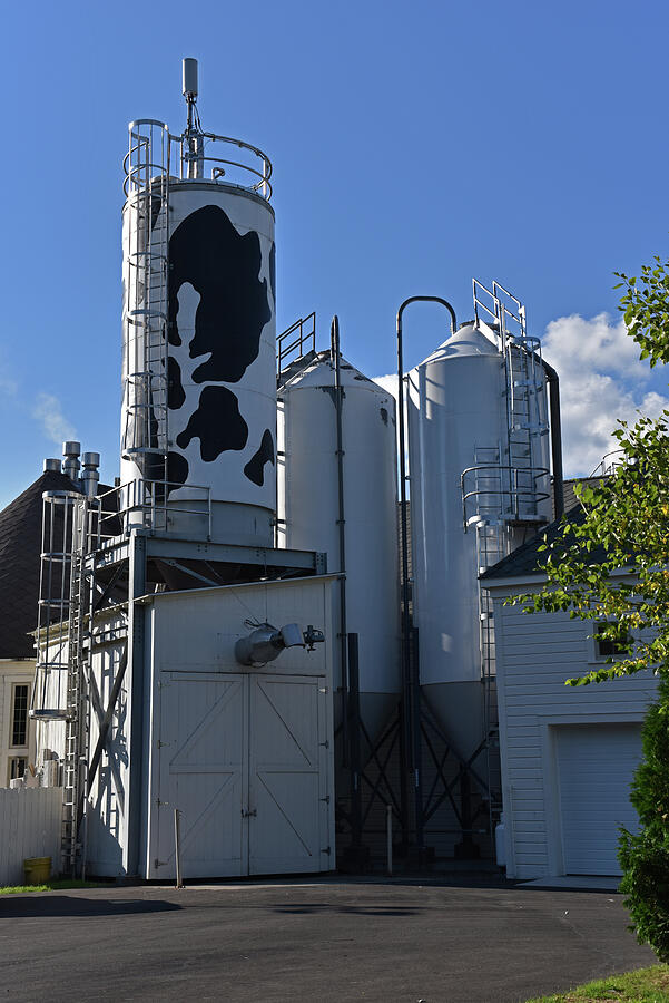 Brewery Omme Gang Photograph by Mike Martin