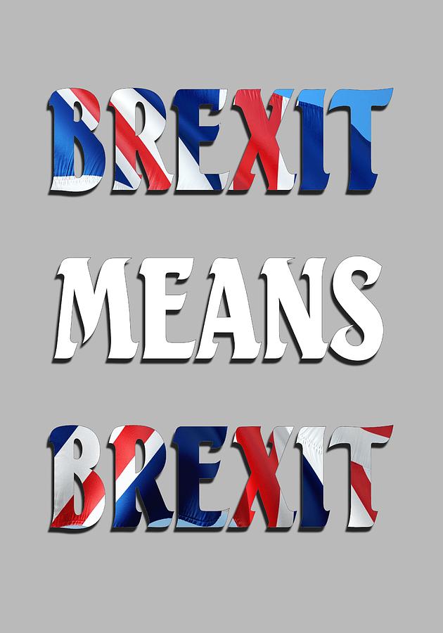 Brexit Means Brexit Digital Art by John Lynch