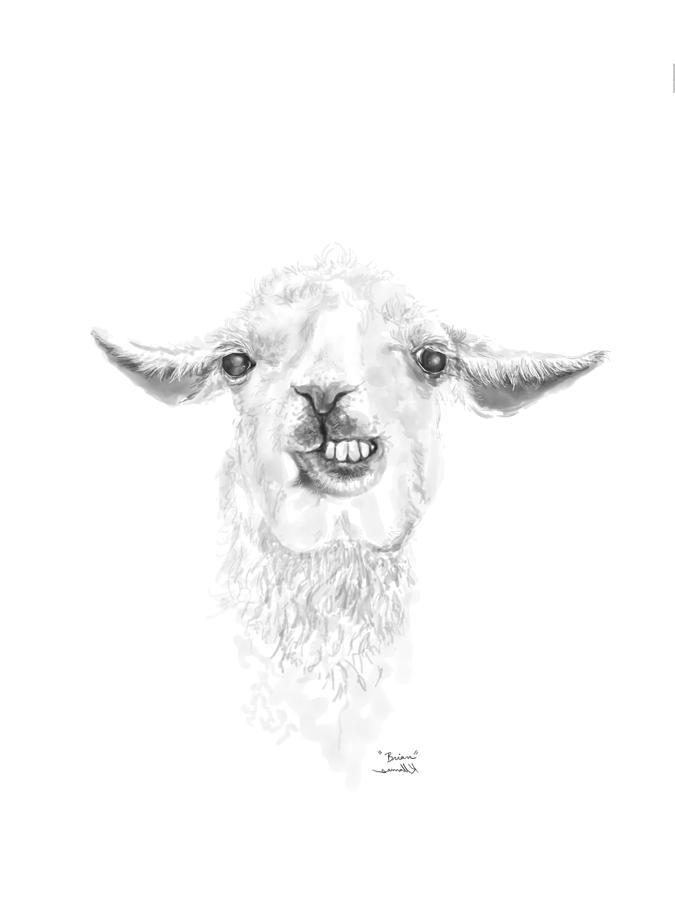 Llama Drawing - Brian by Kristin Llamas