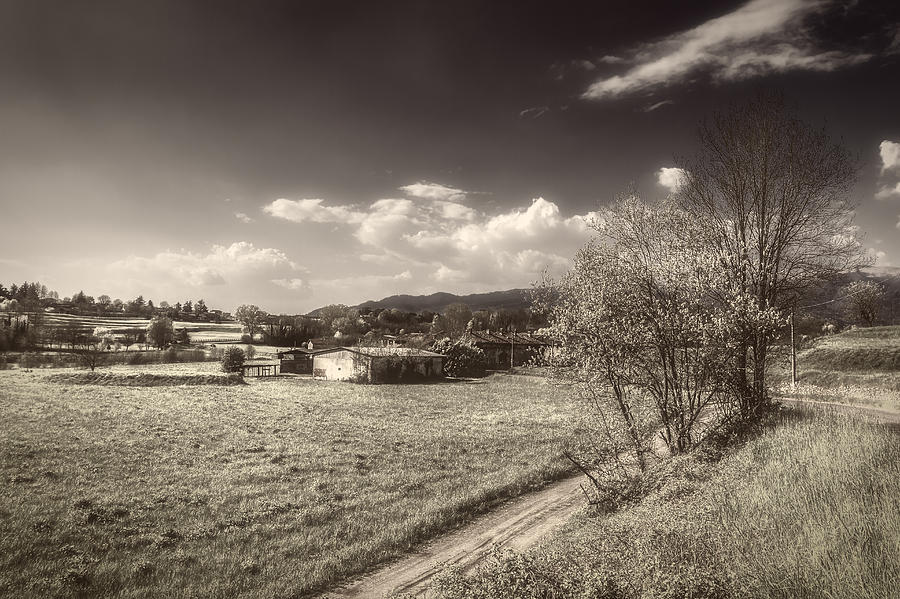 Brianza countryscape Photograph by Roberto Pagani