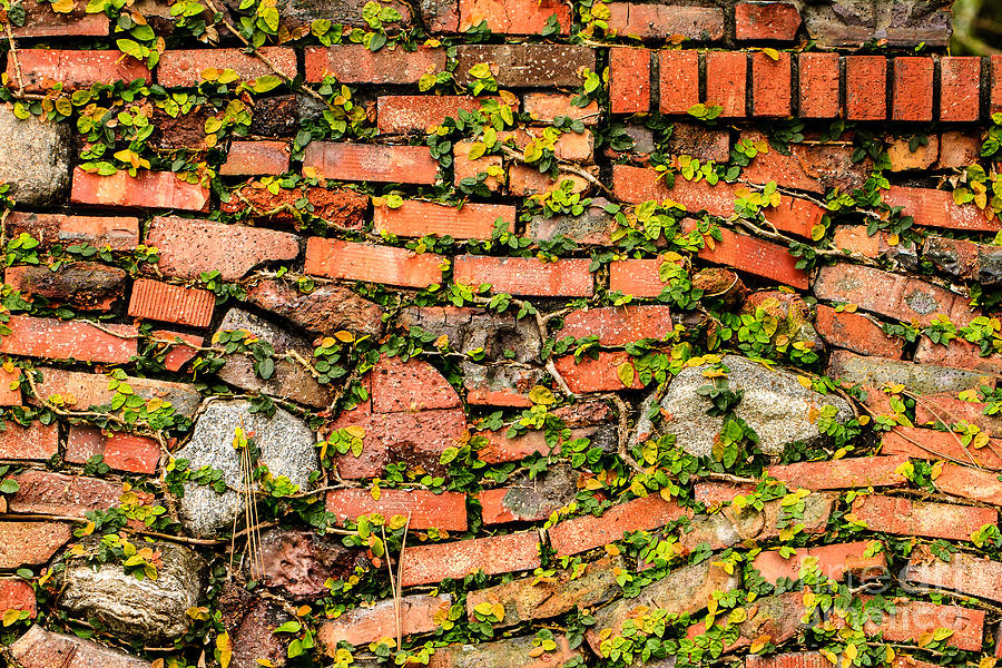 Brick and Stone Wall Photograph by Ben Graham