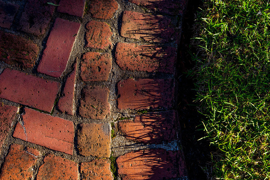 Brick Path in Afternoon Light Photograph by Derek Dean