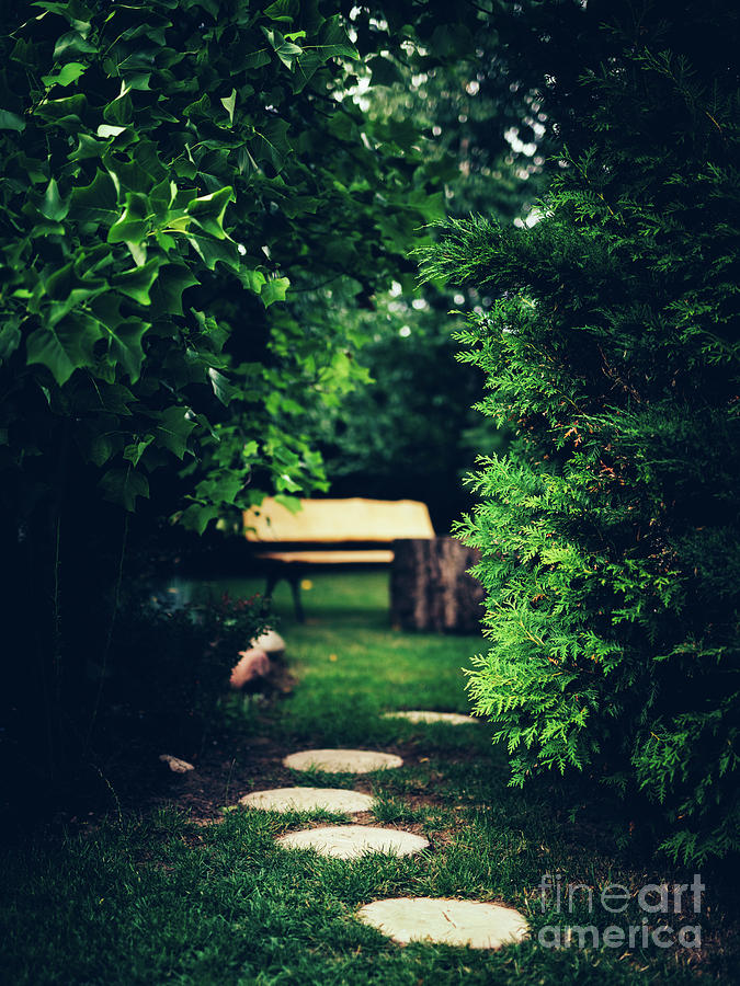Brick path in the garden. Photograph by Michal Bednarek