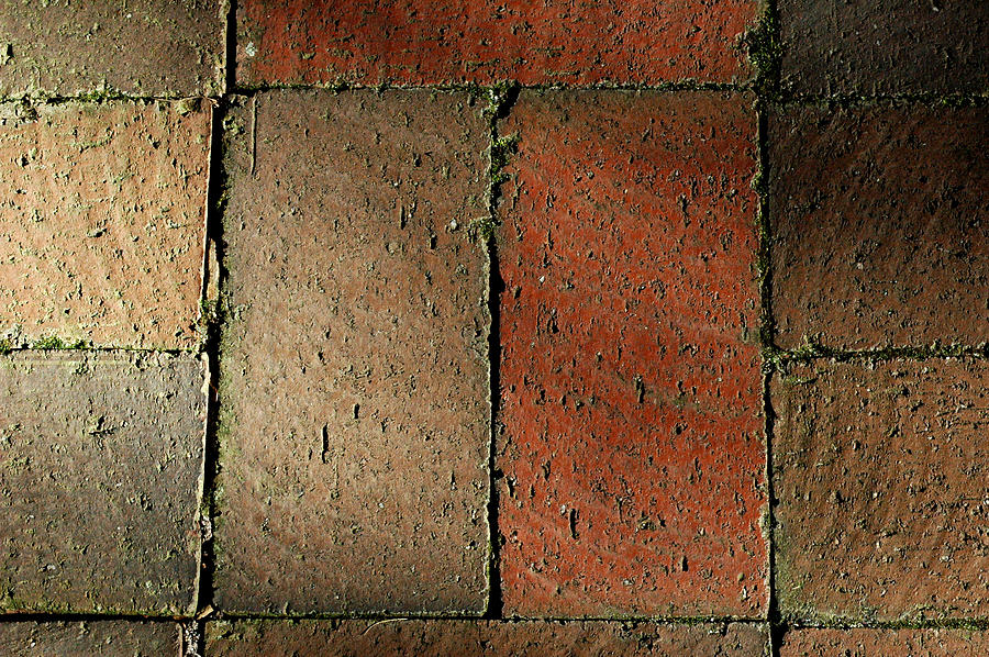 Brick Pavers Photograph by David Weeks