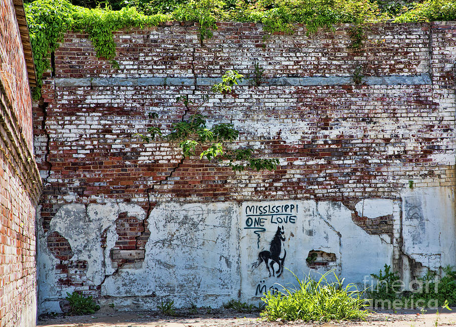 Brick Wall Graffiti Mississippi One Love  Photograph by Chuck Kuhn