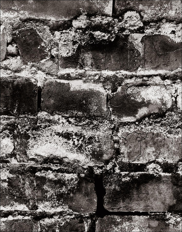 Brick Wall Photograph by Jason Kittelberger