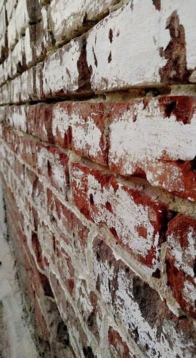 Brick Photograph - Brick Wall by Libby Sealy