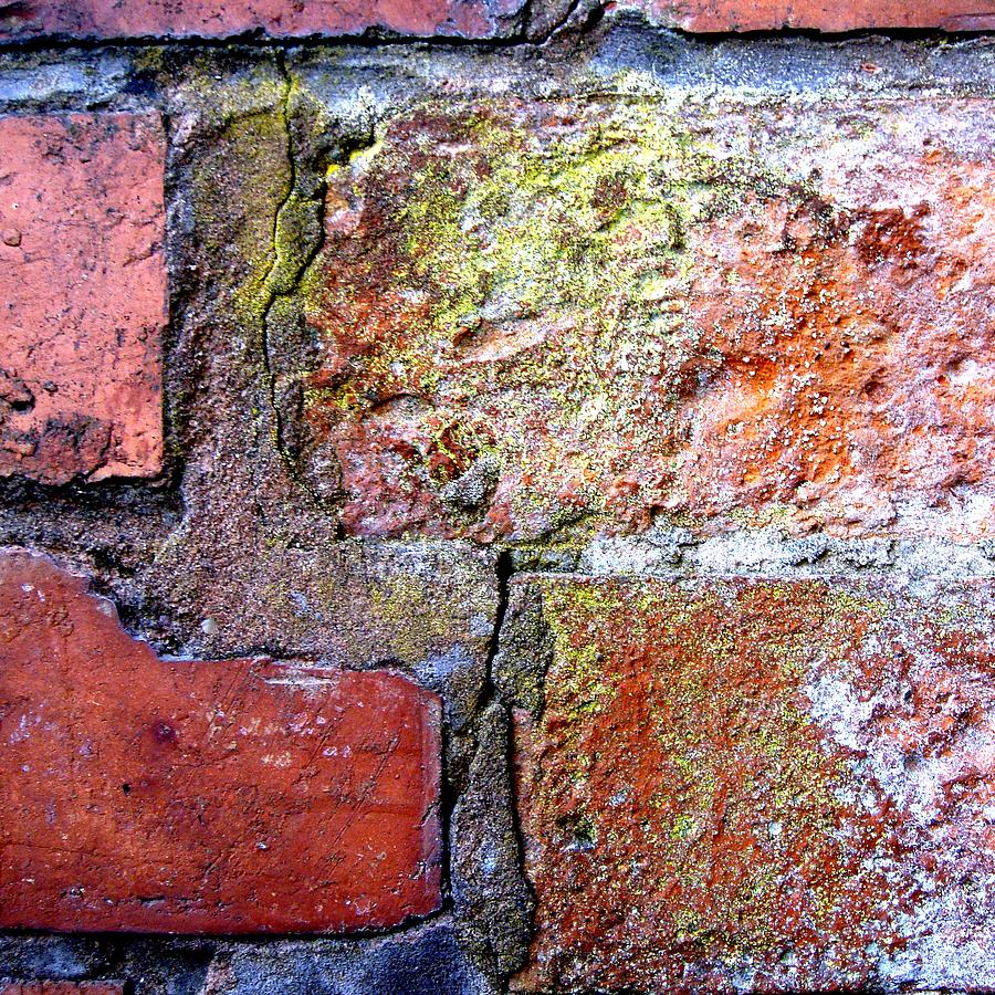 Brick Wall Photograph by Roberto Alamino