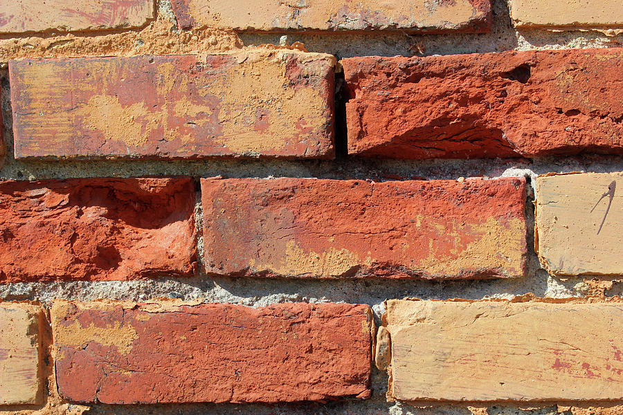 Brick Wall with Character Photograph by Mary Bedy