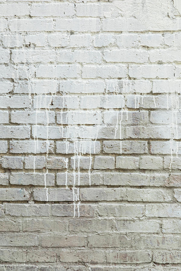Bricks And Paint Dripping Portrait Photograph