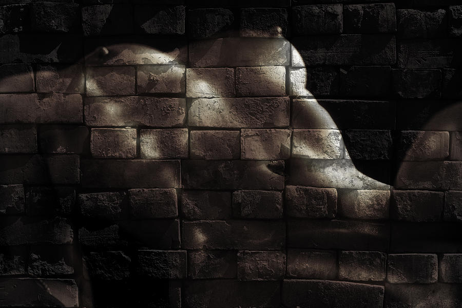 Bricks Photograph by David Naman