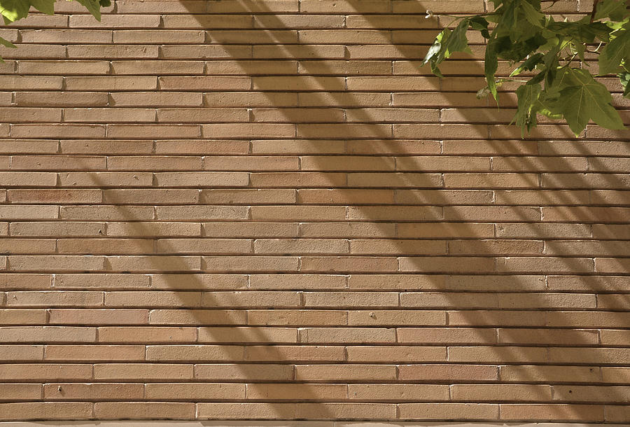 Brickwall Shadows Photograph by Erik Burg