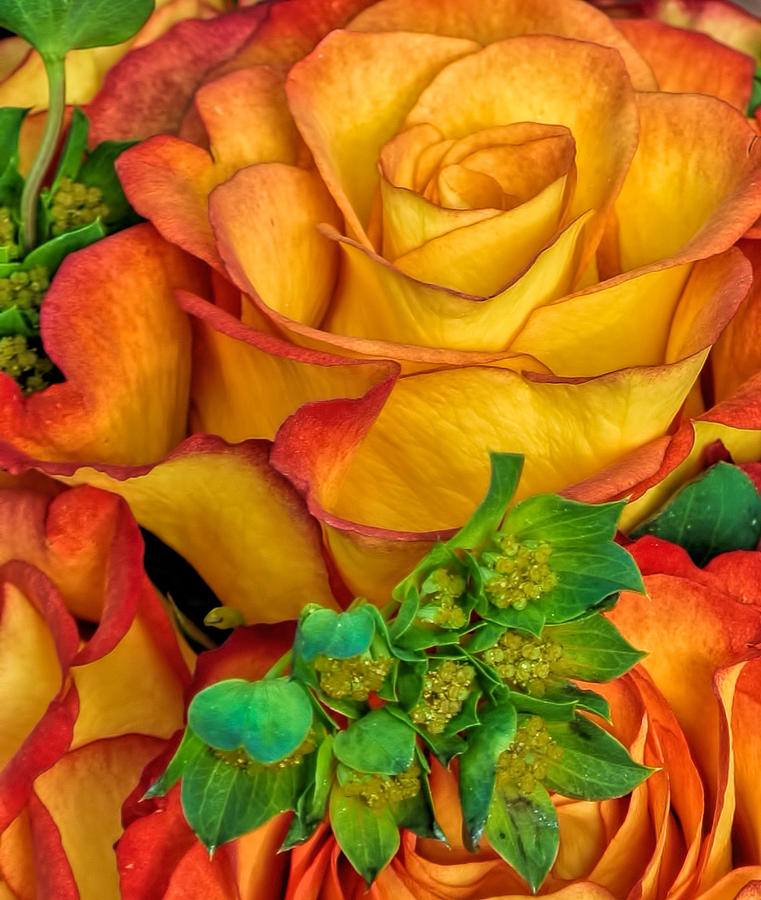 Yellow Red Rose Bouquet  Photograph by Ginger Wakem