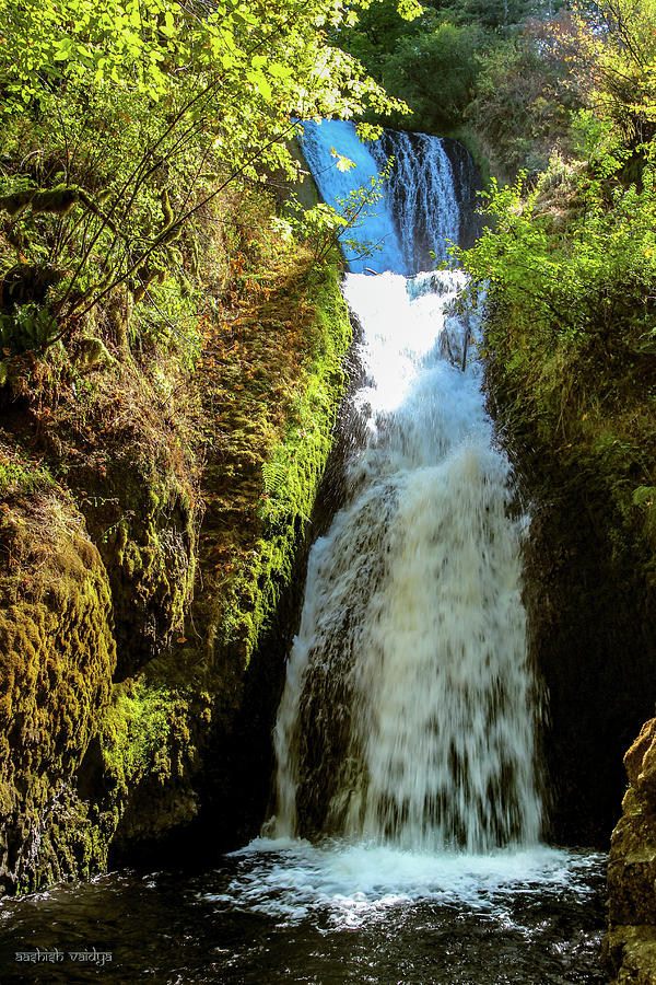 Nature Photograph - Bridal Veil Falls, Oregon by Aashish Vaidya