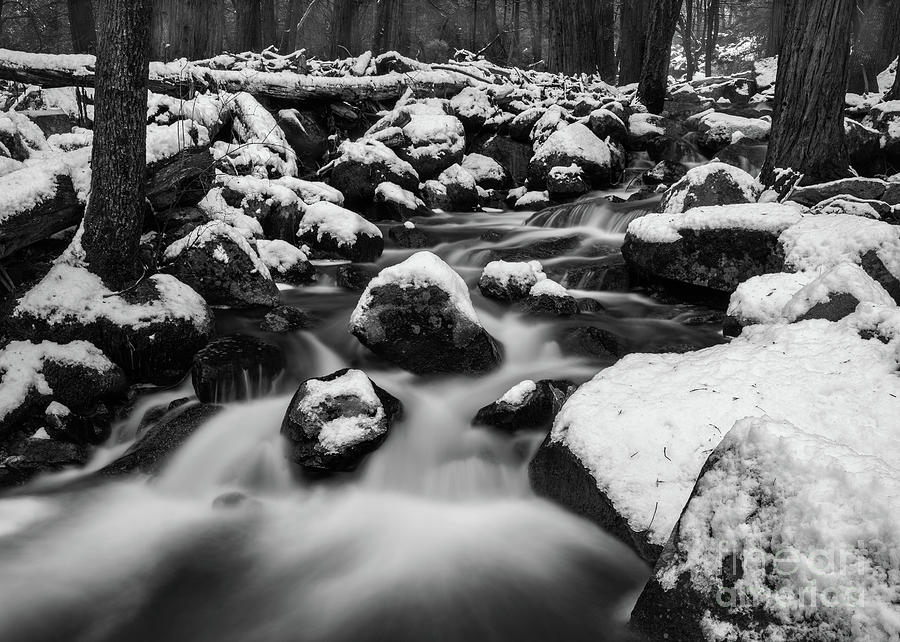Bridalveil Creek Photograph by Anthony Michael Bonafede