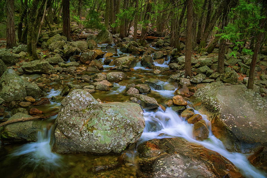 Bridalveil Creek Photograph by Chuck De La Rosa