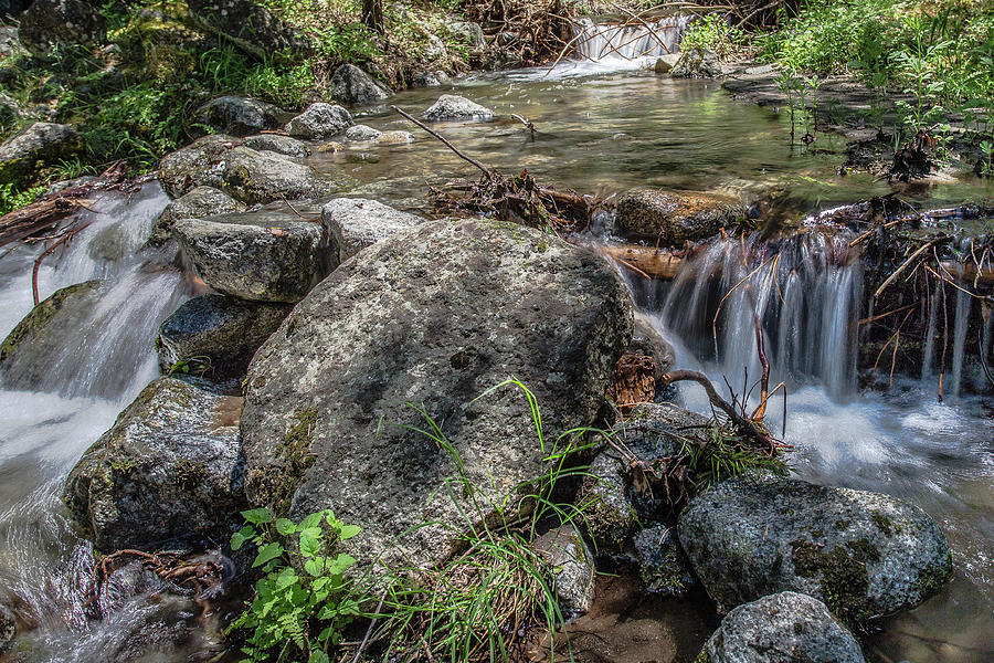 Bridalveil Creek Photograph by Ryan Weddle