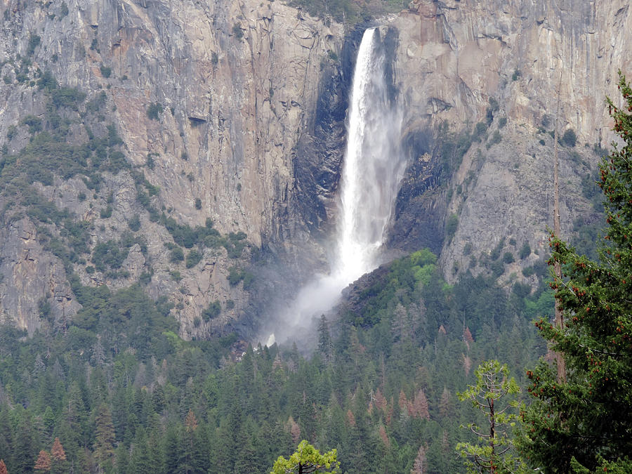 Bridalveil Falls Photograph by Eric Forster