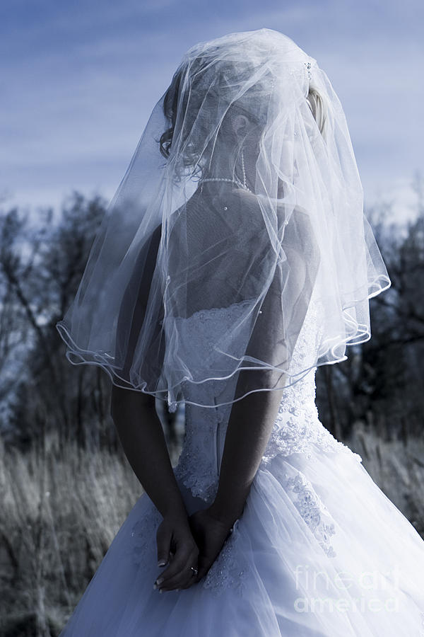 Bride Photograph by Cindy Singleton