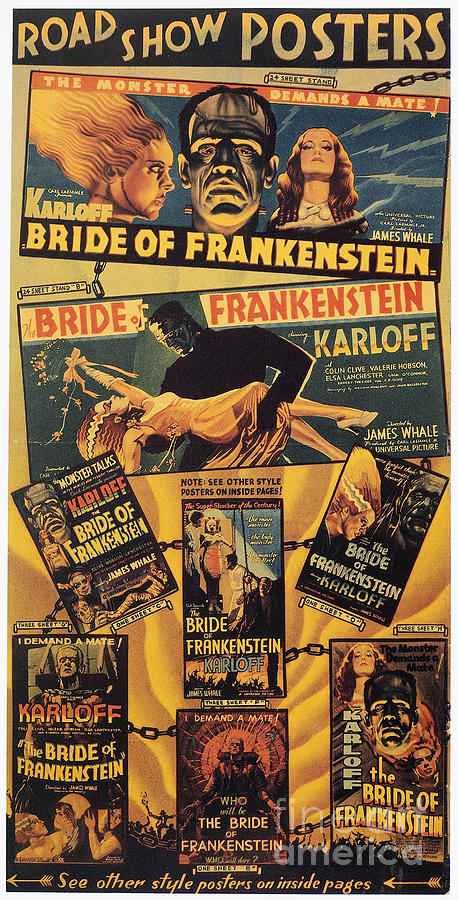Bride Of Frankenstein, 1935 Photograph by Granger