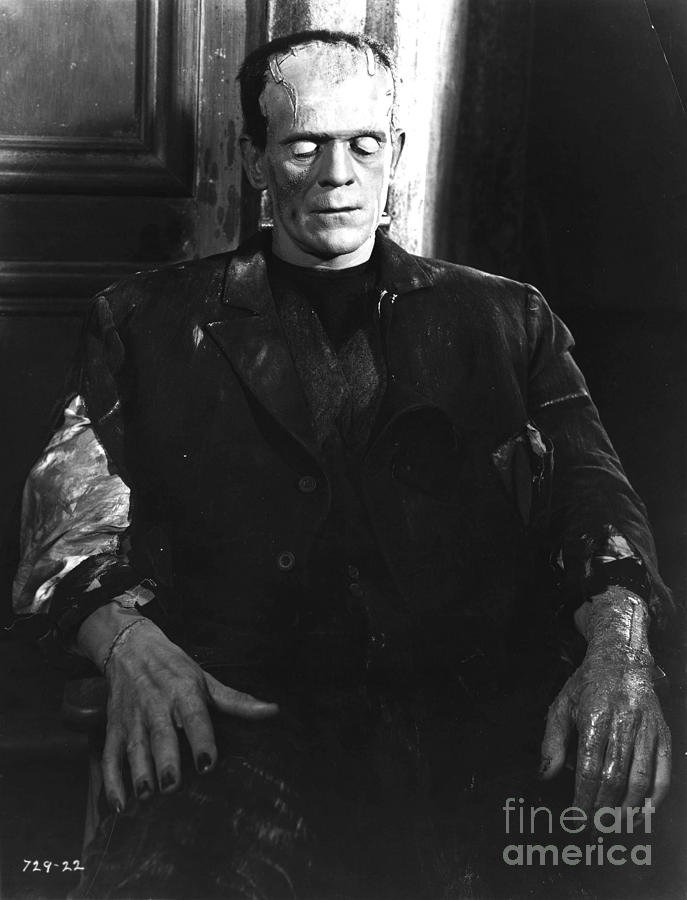 Bride of Frankenstein Boris Karloff Photograph by Vintage Collectables