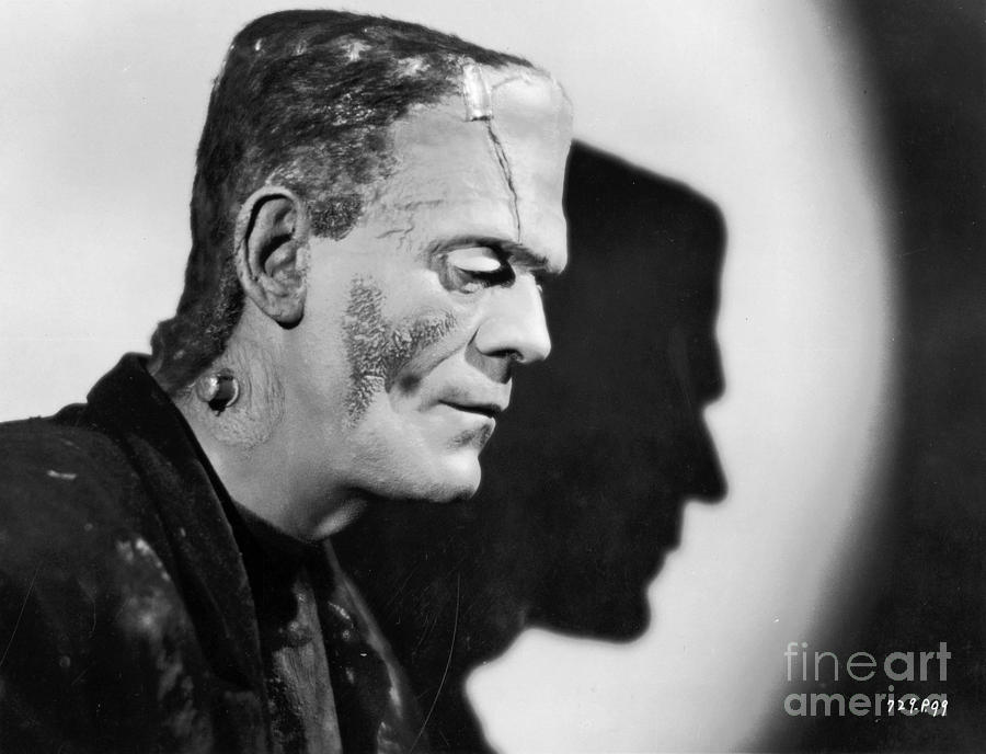 Bride of Frankenstein Boris Karloff Shadowed Photograph by Vintage Collectables