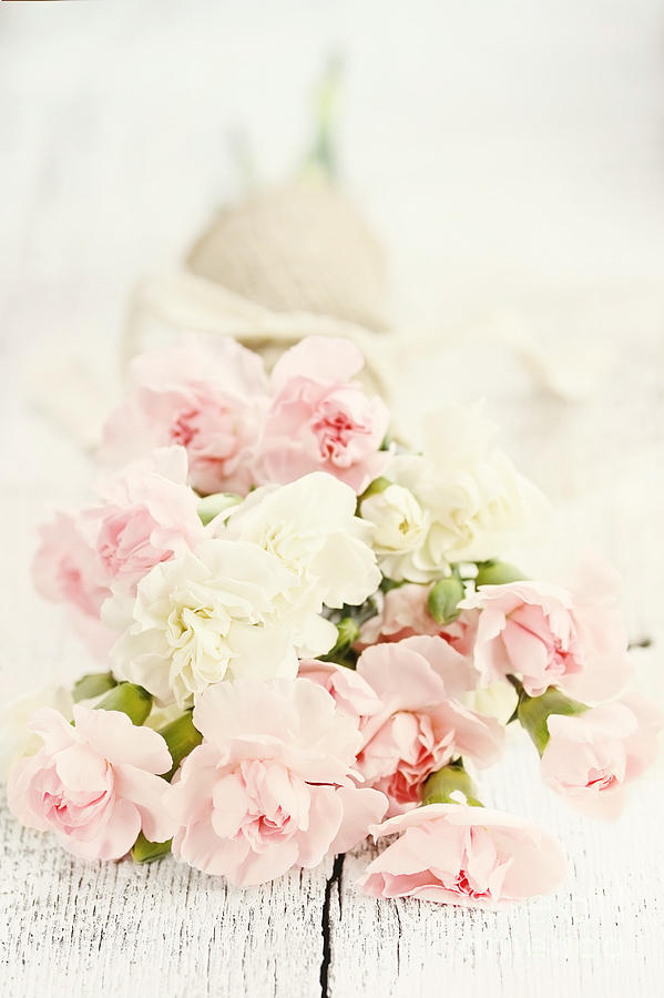 Flower Photograph - Brides Bouquet by Stephanie Frey