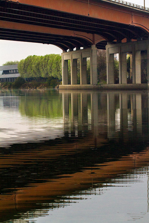 Bridge 1 Photograph by Terry Davis